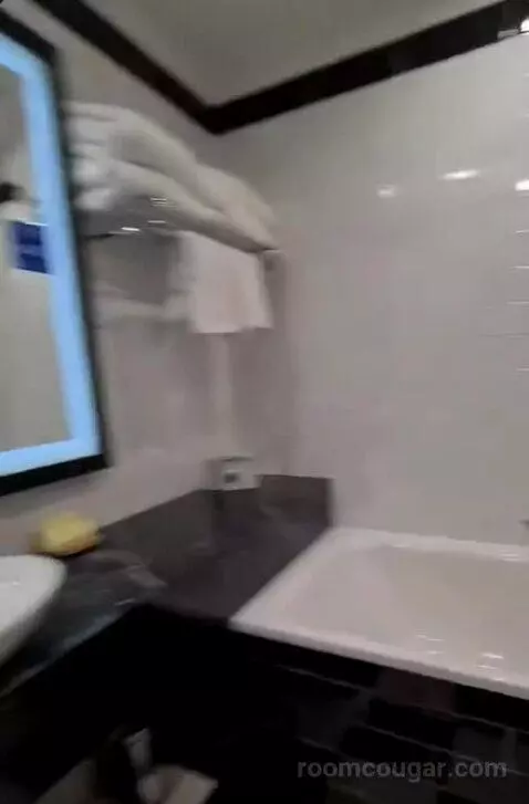 Deluxe King Room bathroom picture #7