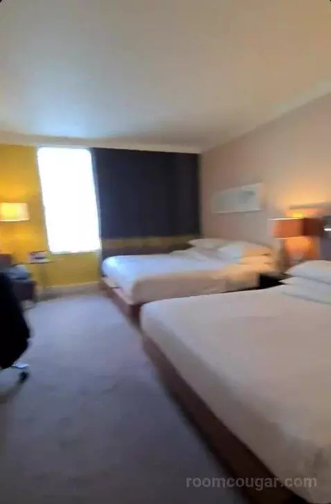 Deluxe King Room bed picture #1