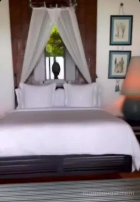 Island Ocean Pool Villa King bed picture #1