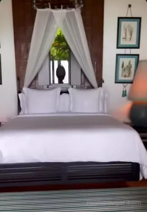 Island Ocean Pool Villa King bed picture #2