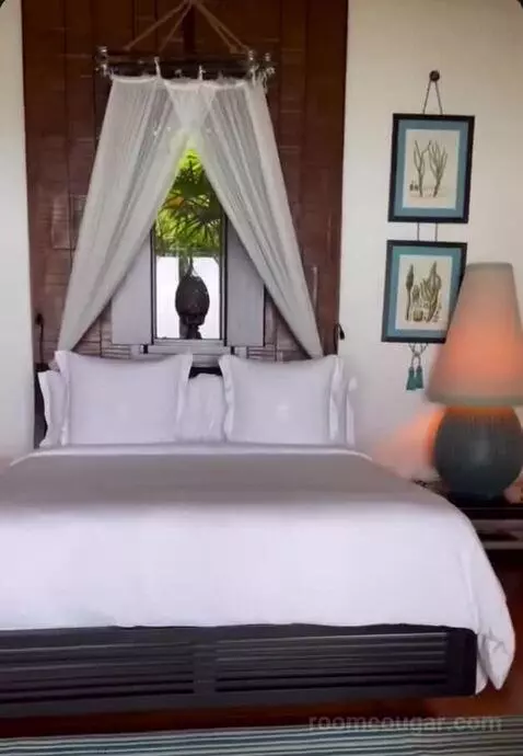 Island Ocean Pool Villa King bed picture #5