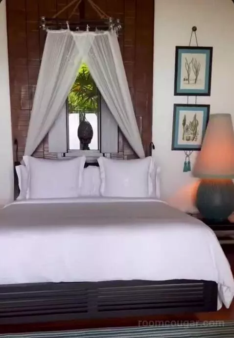 Island Ocean Pool Villa King bed picture #7