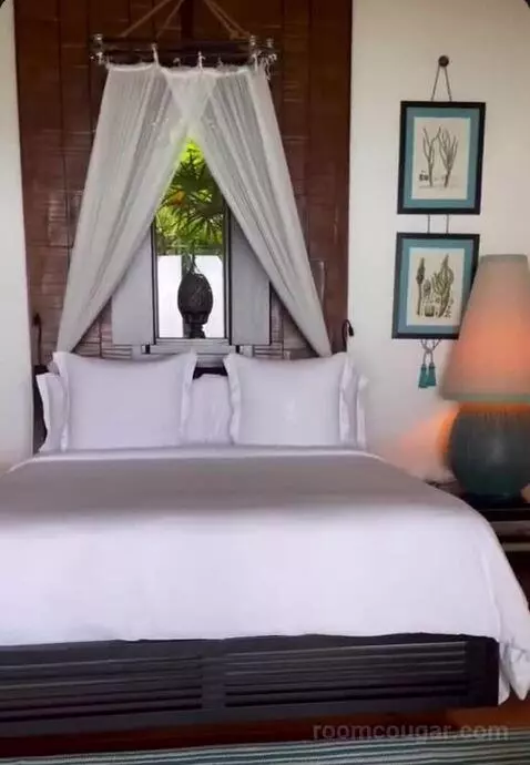 Island Ocean Pool Villa King bed picture #8
