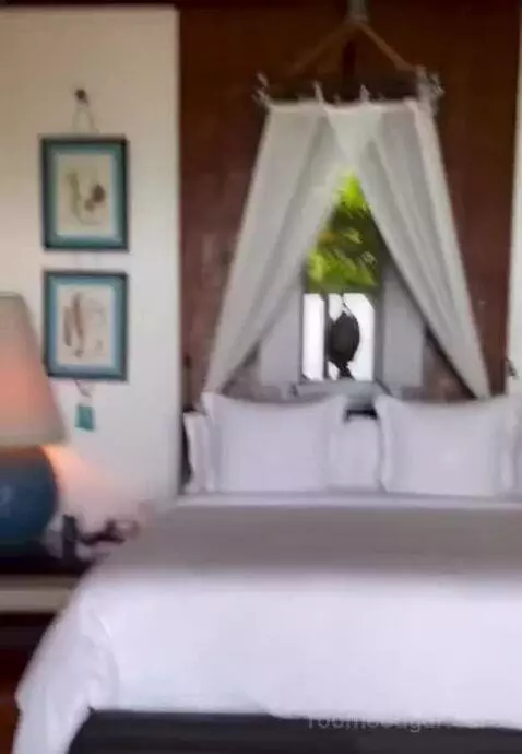 Island Ocean Pool Villa King bed picture #9