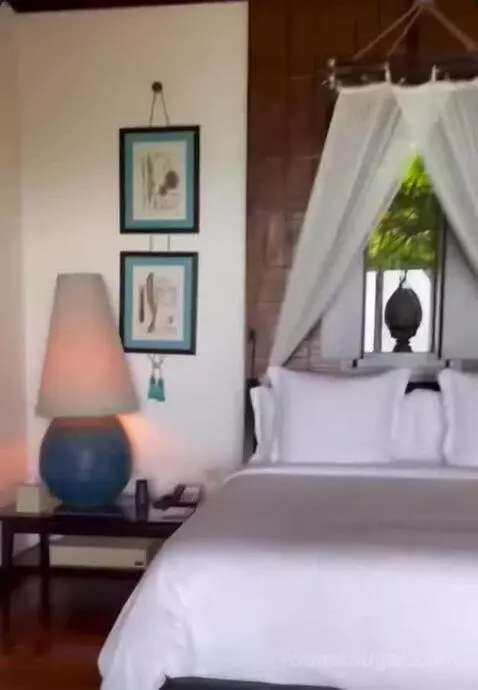 Island Ocean Pool Villa King bed picture #11