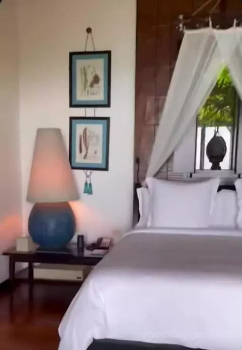 Island Ocean Pool Villa King bed picture #12