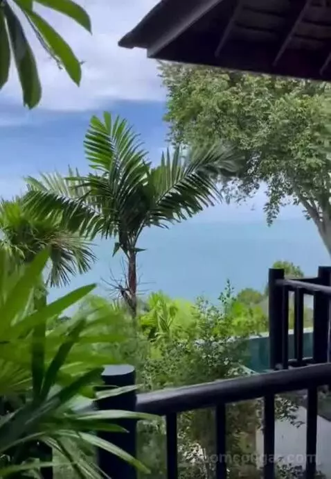 Island Ocean Pool Villa King picture #3
