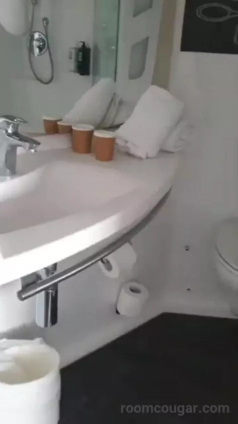 Double Sweet Room By Ibis bathroom picture #2