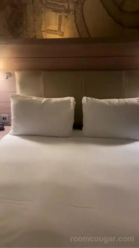 Deluxe Queen Room with View bed picture #4