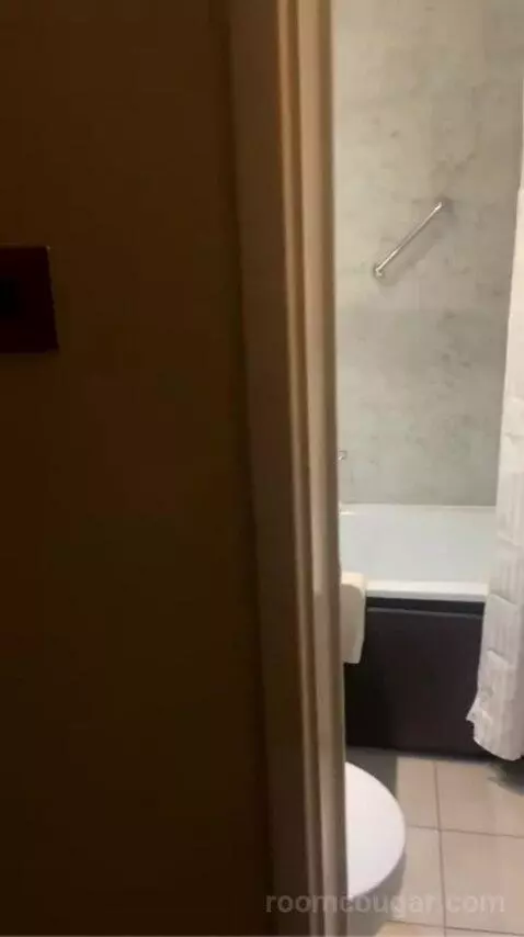 Deluxe Queen Room with View bathroom picture #9