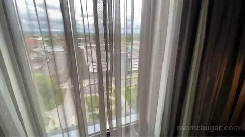 King Room with City View view picture #3
