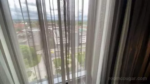 King Room with City View view picture #4
