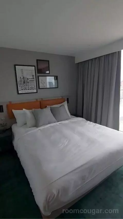 One-Bedroom Queen Suite with Sofa Bed bed picture #3