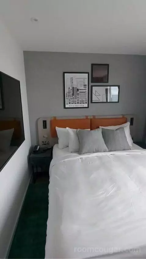 One-Bedroom Queen Suite with Sofa Bed bed picture #4