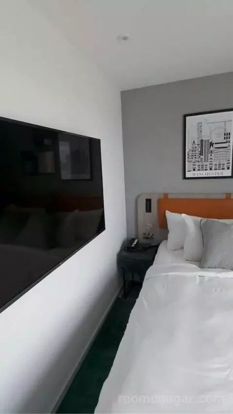One-Bedroom Queen Suite with Sofa Bed bed picture #5