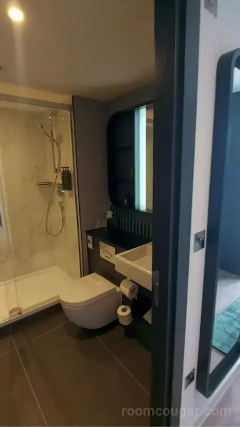 One-Bedroom Queen Suite with Sofa Bed bathroom picture #1