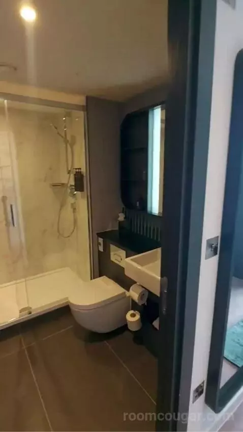 One-Bedroom Queen Suite with Sofa Bed bathroom picture #2