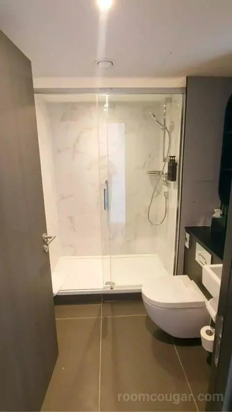 One-Bedroom Queen Suite with Sofa Bed bathroom picture #4