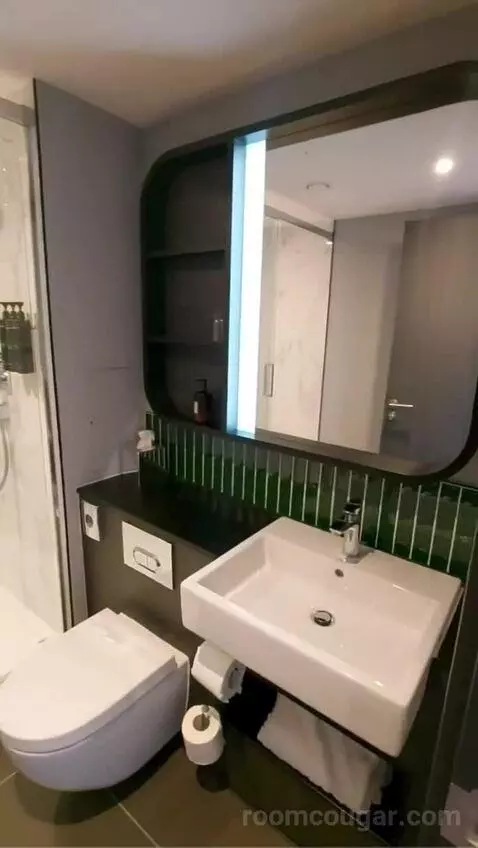 One-Bedroom Queen Suite with Sofa Bed bathroom picture #7
