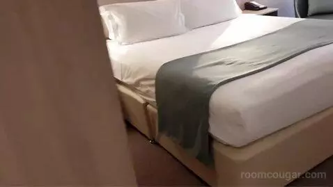 Standard Double or Twin Room bed picture #1