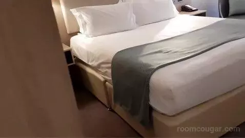 Standard Double or Twin Room bed picture #2
