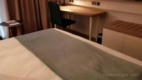 Standard Double or Twin Room bed picture #10