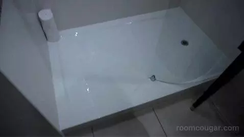 Queen Room bathroom picture #4