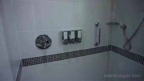 Queen Room bathroom picture #6