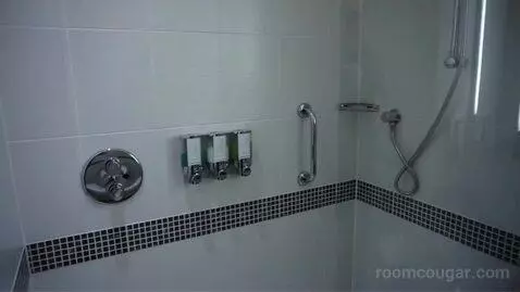 Queen Room bathroom picture #7