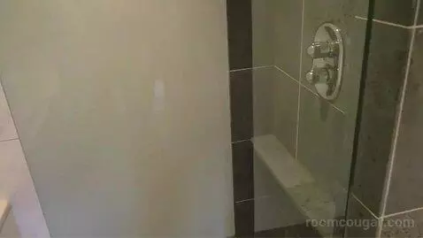 Collection Premium Room with City View bathroom picture #6