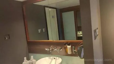 Collection Premium Room with City View bathroom picture #2