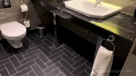 King Suite bathroom picture #1