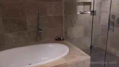 Suite bathroom picture #5