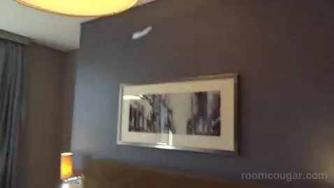 Executive King Room picture #9