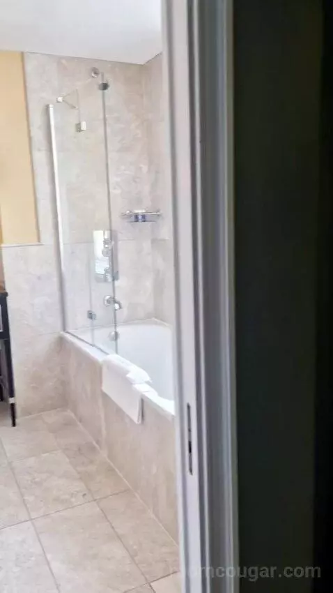 Executive Double Room bathroom picture #2