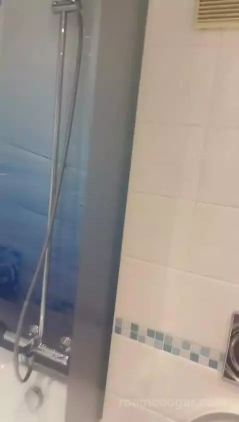 Standard Double Room bathroom picture #10
