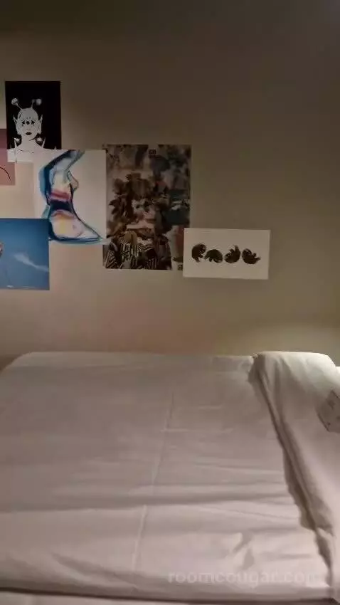 Deluxe Queen Room bed picture #10