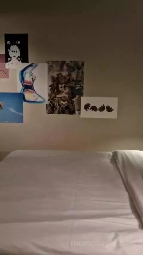 Deluxe Queen Room bed picture #11