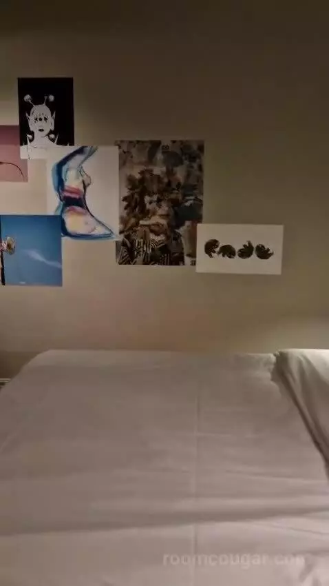Deluxe Queen Room bed picture #12