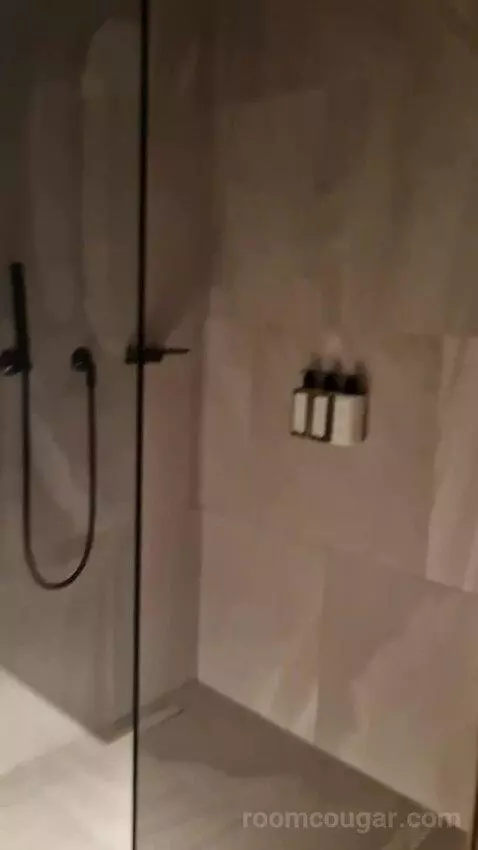 Superior Double or Twin Room bathroom picture #1