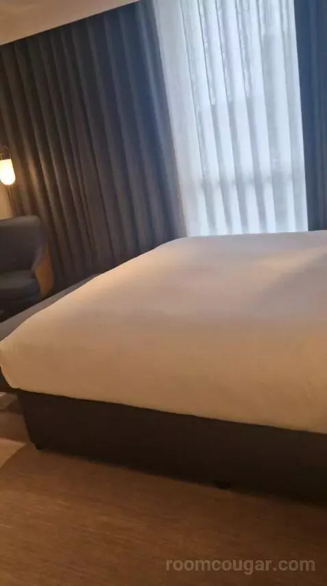 King Room with Cherry Park View bed picture #9