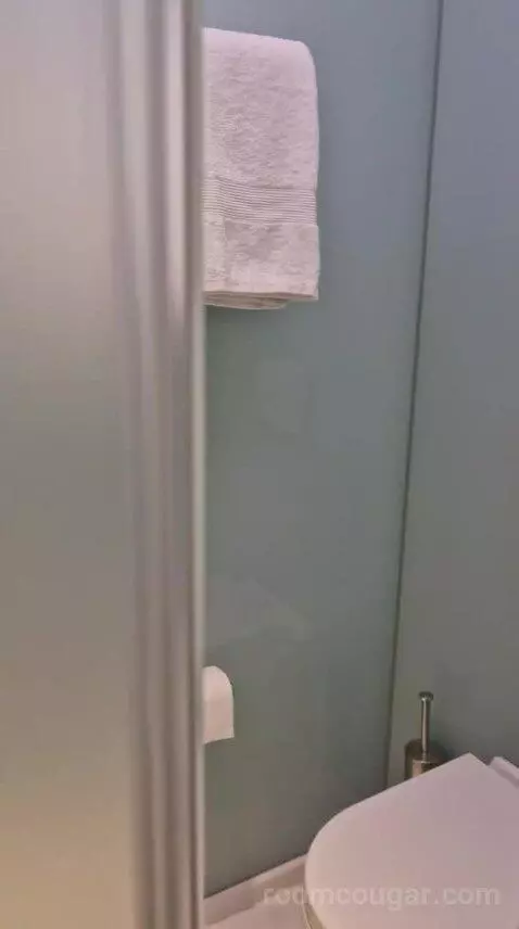 King Room bathroom picture #3