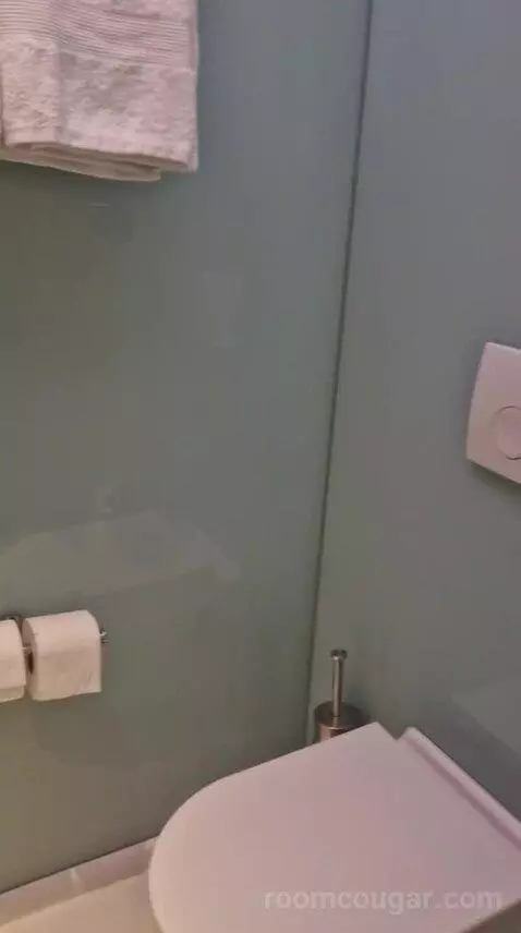 King Room bathroom picture #4