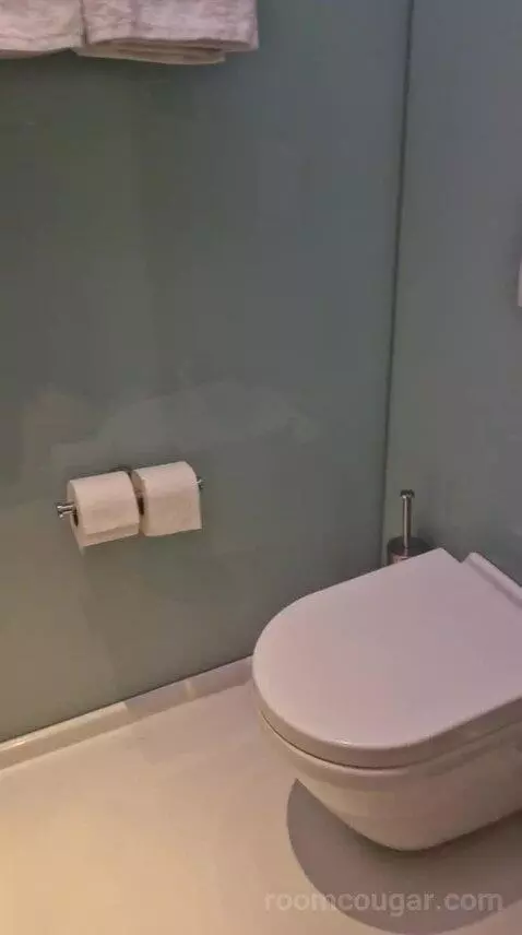 King Room bathroom picture #7