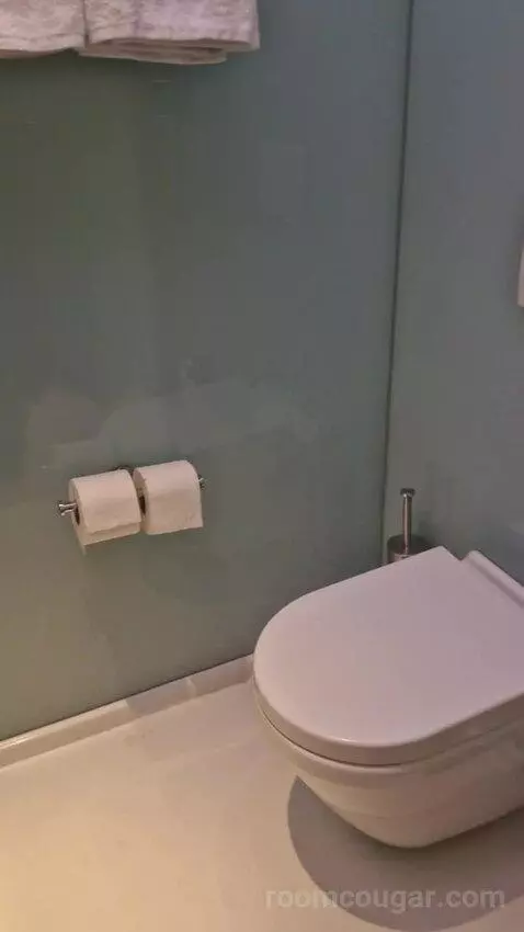King Room picture #22