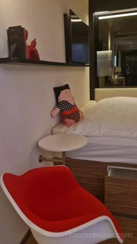 King Room picture #8