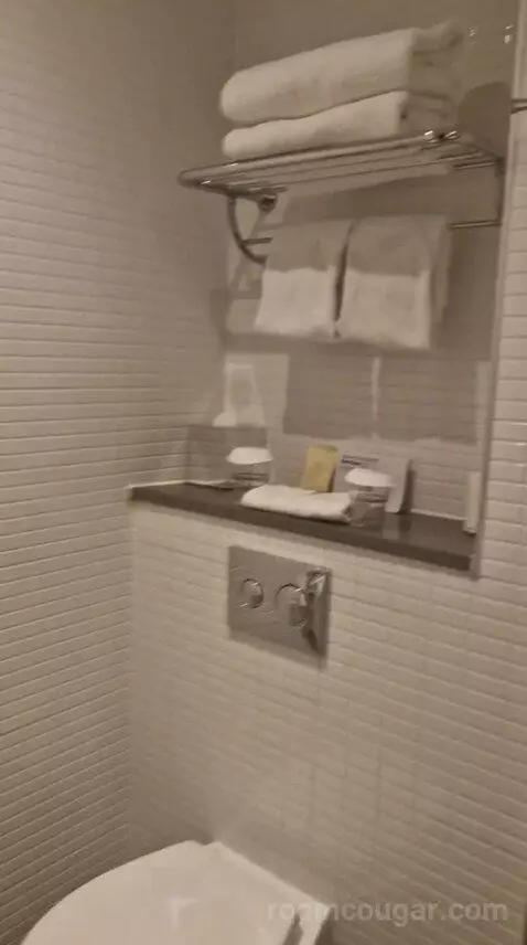 Queen Room bathroom picture #4
