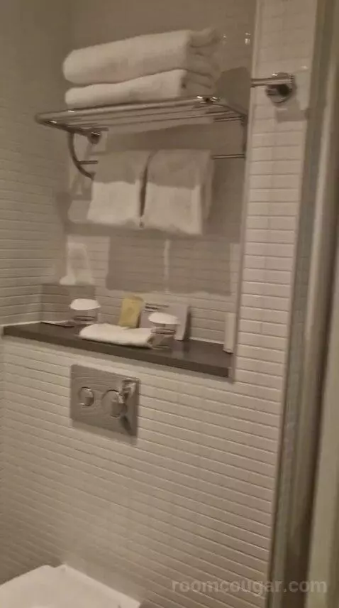 Queen Room bathroom picture #5