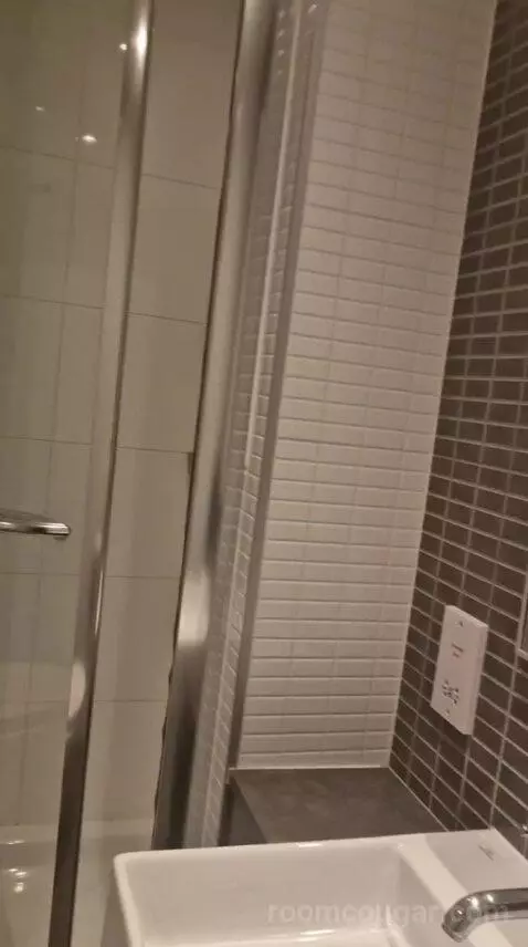 Queen Room bathroom picture #9