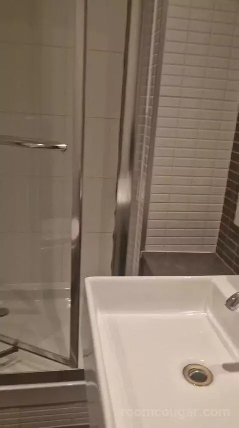 Queen Room bathroom picture #10